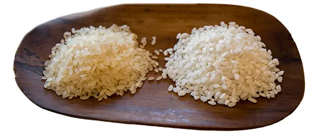 Arroz Albufera - Cultura del arroz