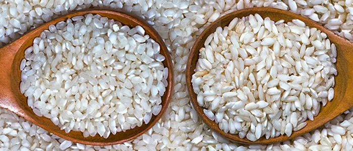 Variedades de arroz - Gastro cultura - Cultura gastronómica